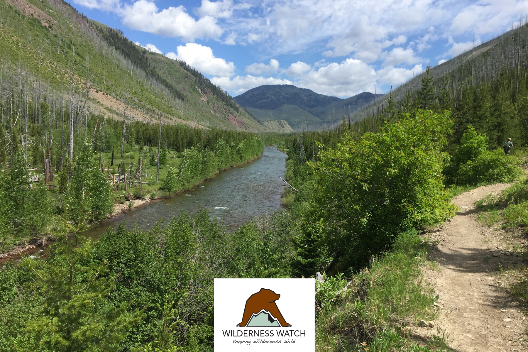 North Fork of the Blackfoot River, Scapegoat Wilderness, MT
