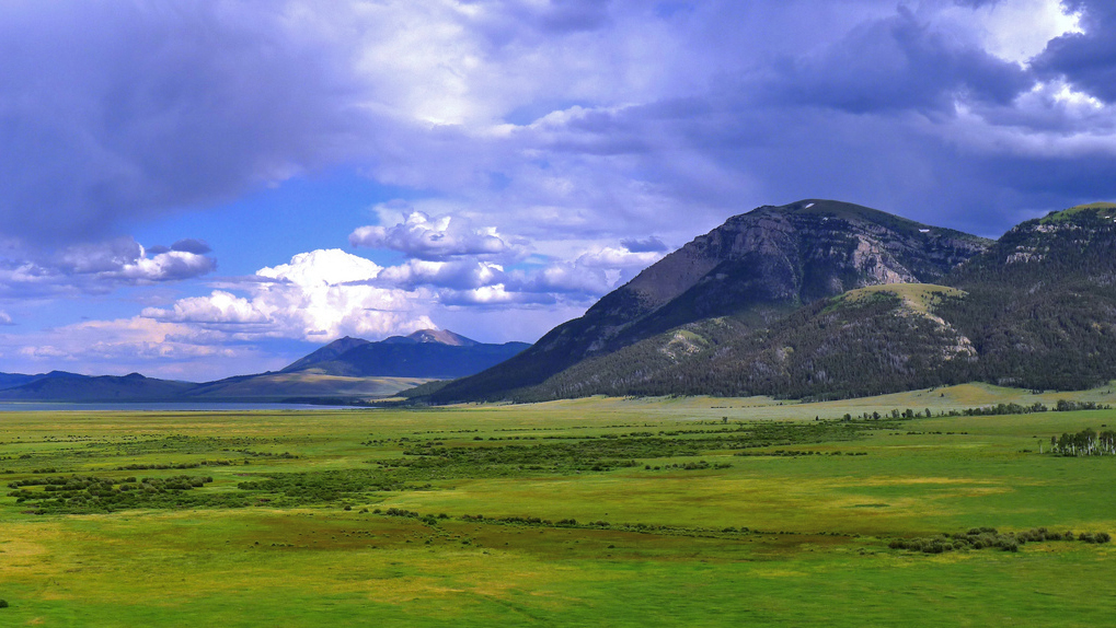 Help Protect Red Rock Lakes Wilderness!