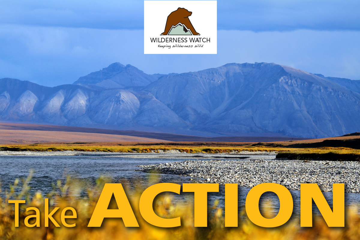 Coastal Plain of the Arctic National Wildlife Refuge