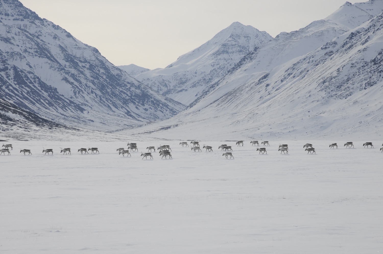Gates of the Arctic Wilderness