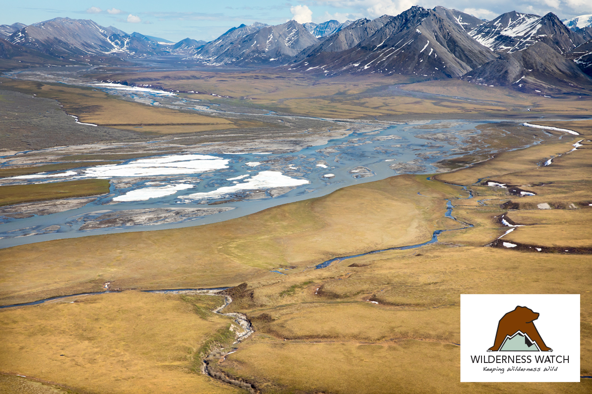 Arctic National Wildlife Refuge coastal plain by Hillebrand/USFWS.