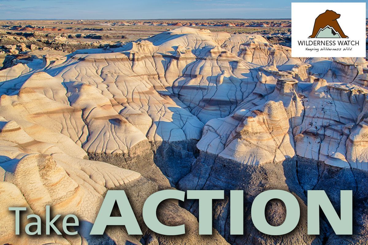 Bisti/De-Na-Zin Wilderness, New Mexico by Bob Wick