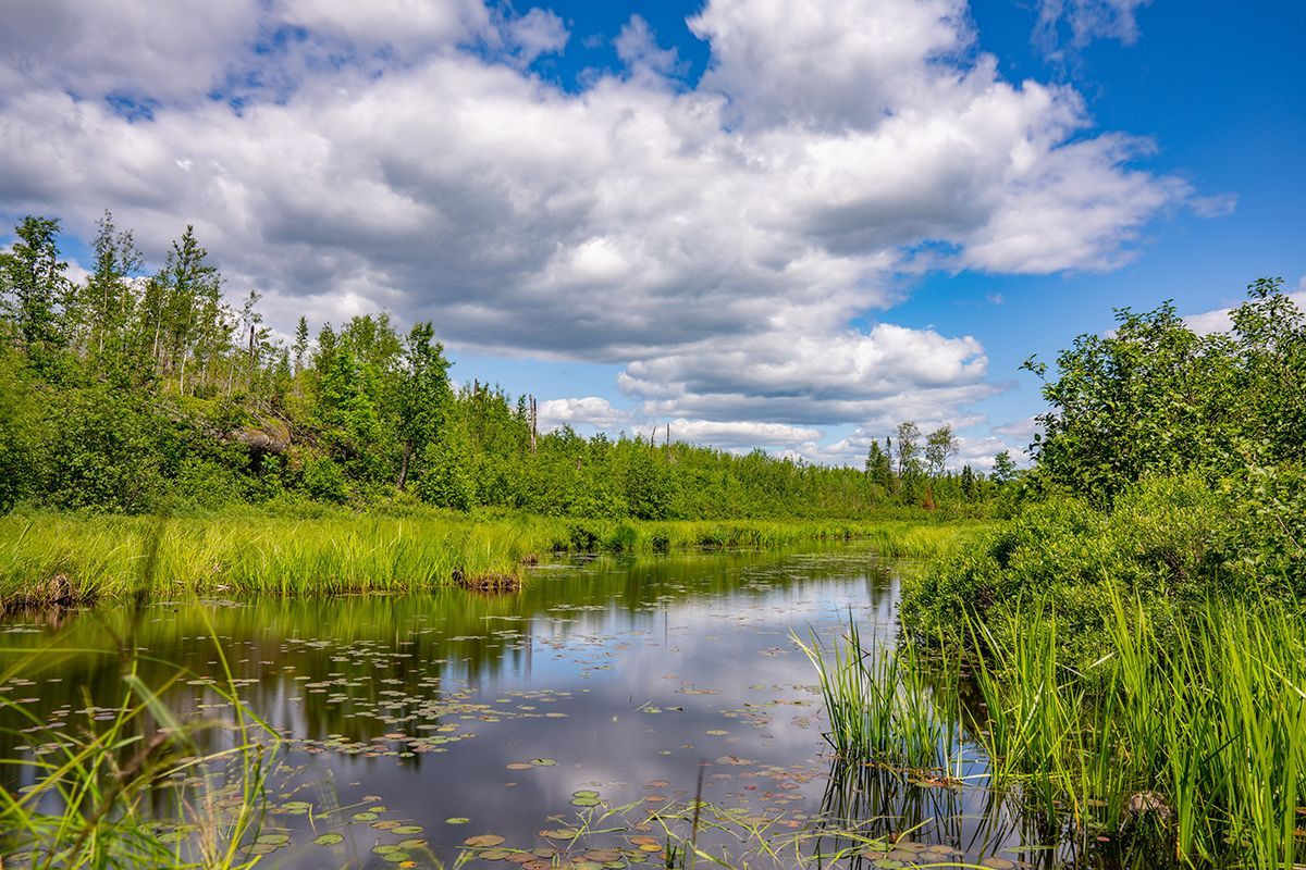 Boundary Waters Canoe Area Wilderness by Tony Webster