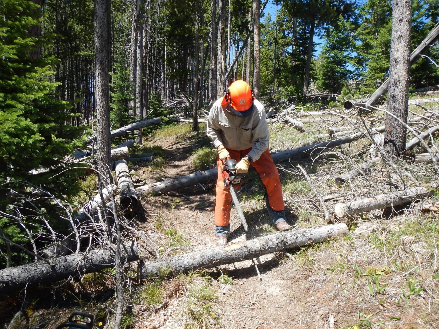 Chainsaw use