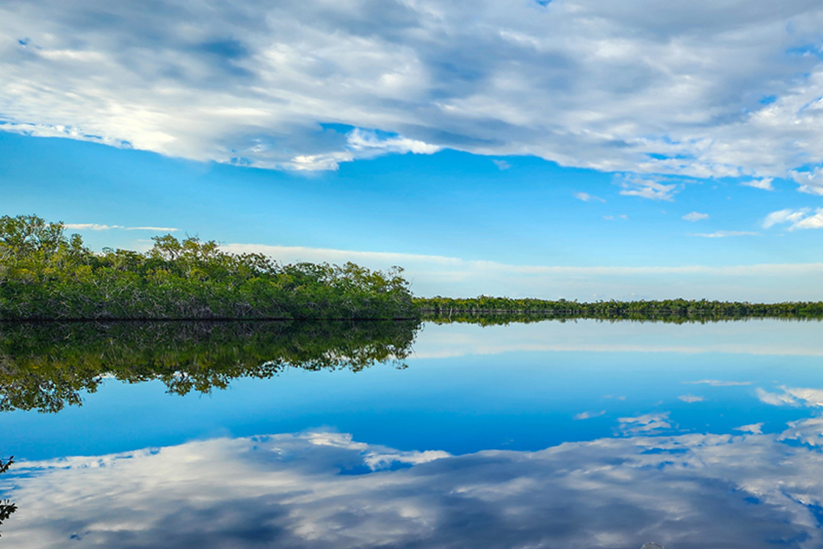 Protect the Marjory Stoneman Douglas Wilderness in the Everglades