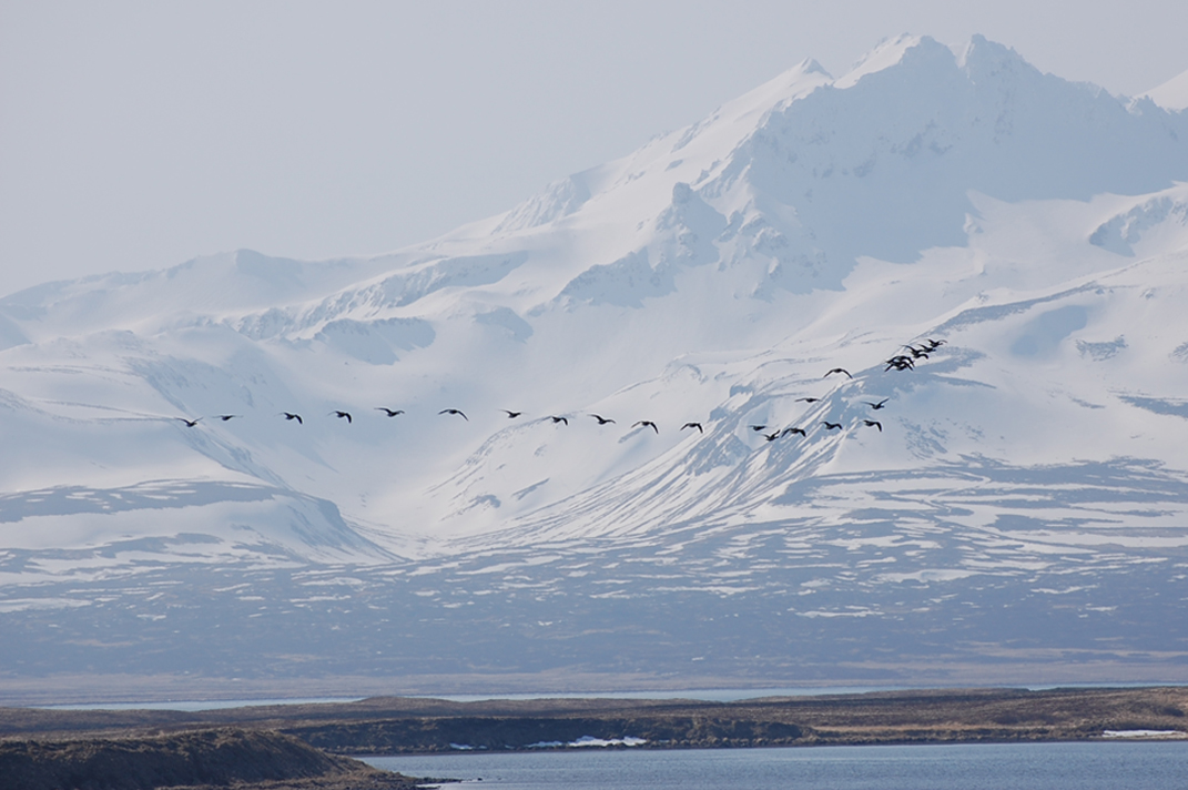 Izembek Wilderness by Kristine Sowl/USFWS