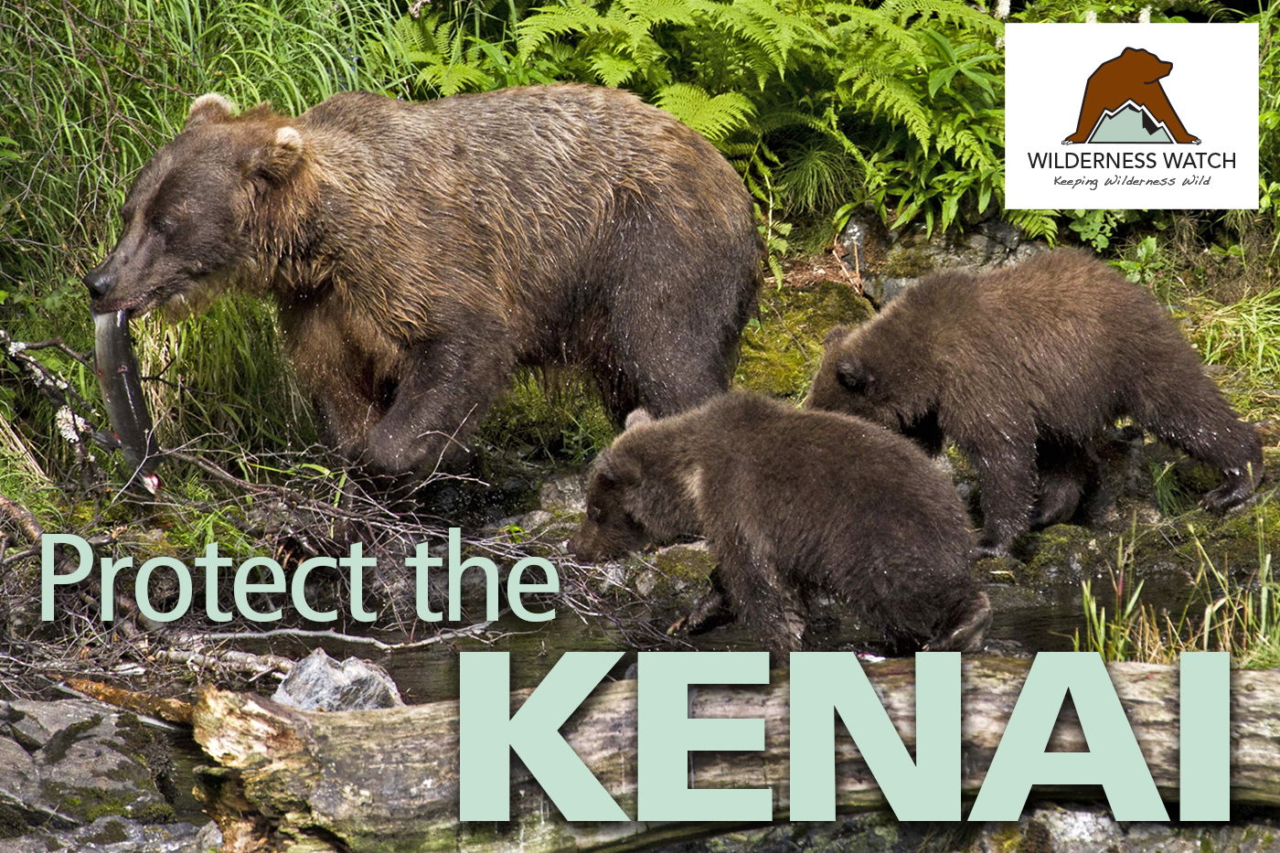 Kenai National Wildlife Refuge, Alaska