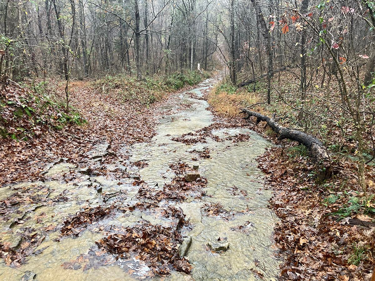 Resource damage in the Lusk Creek Wilderness. Photo by Heartwood.