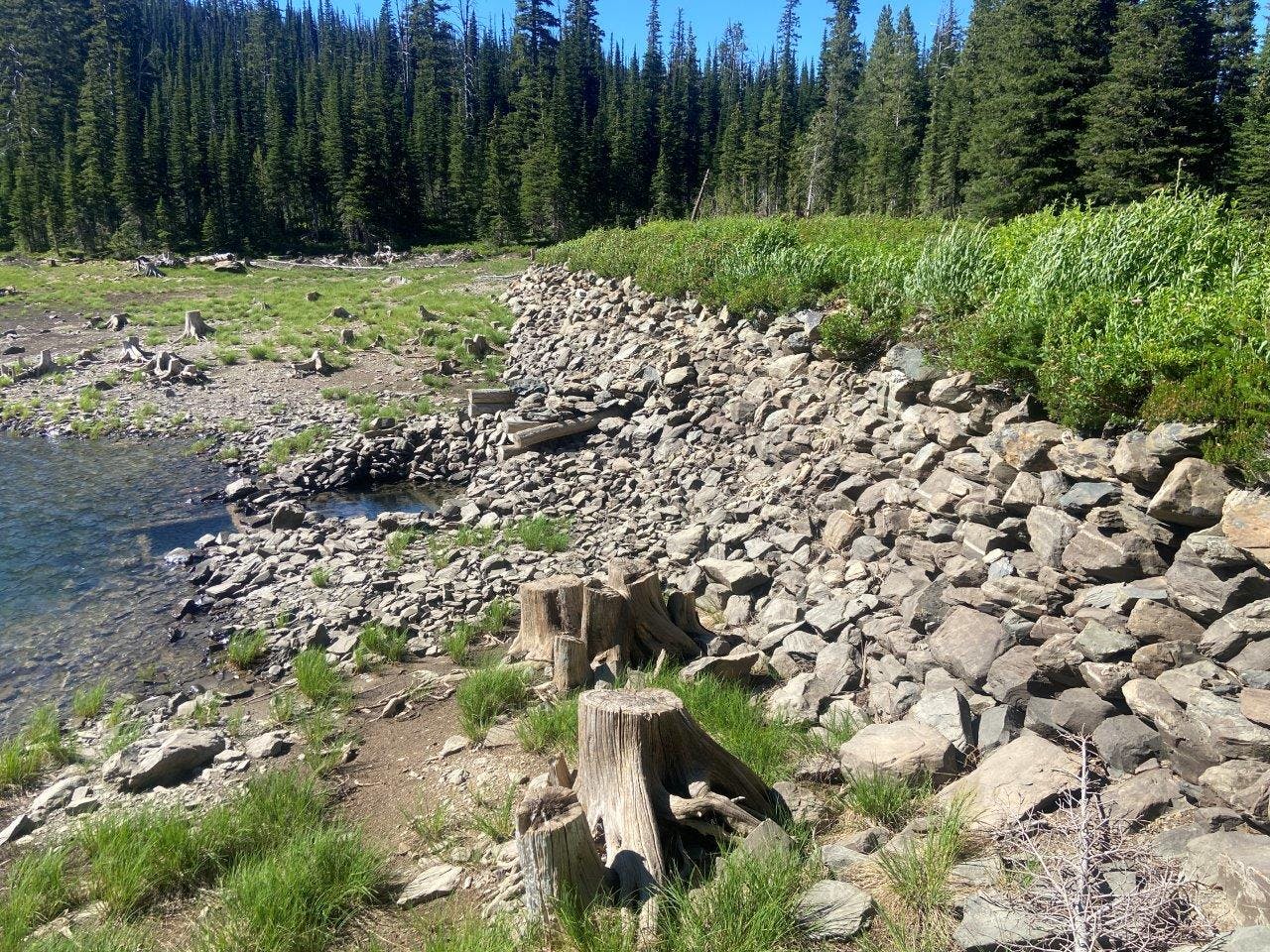 McKinley Lake Dam Removal In The Rattlesnake Wilderness