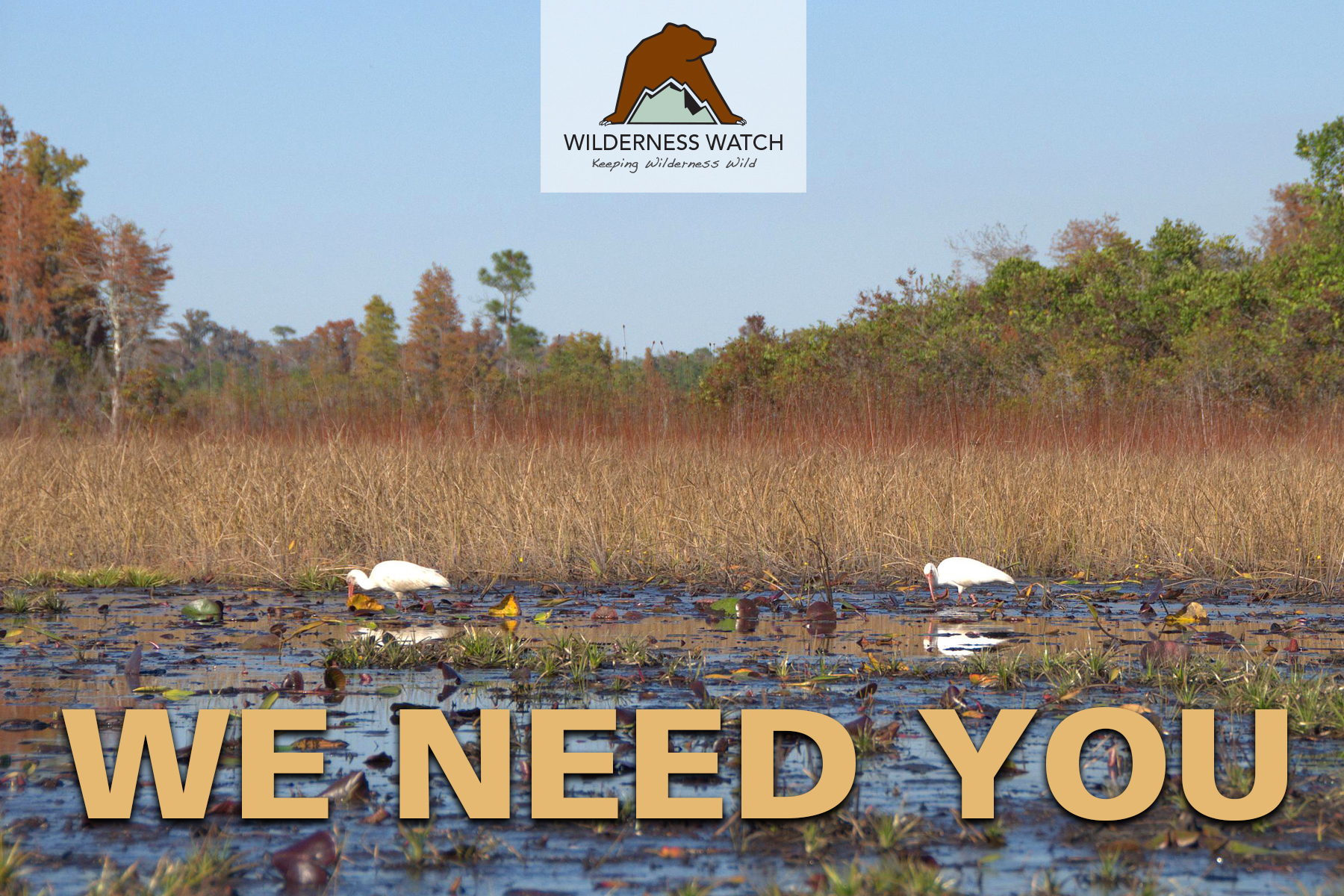 Okefenokee Wilderness, Georgia by USFWS