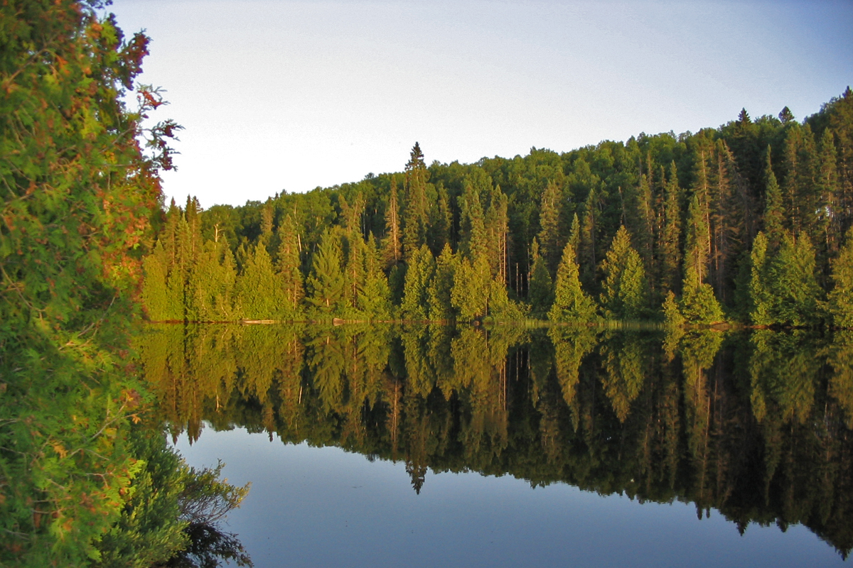 Lake in the Boundary Waters Canoe Area Wilderness. Photo by Mike Sweet/USFWS.