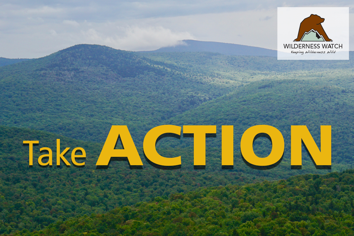 Looking towards the Peru Peak and Big Branch Wildernesses in Vermont
