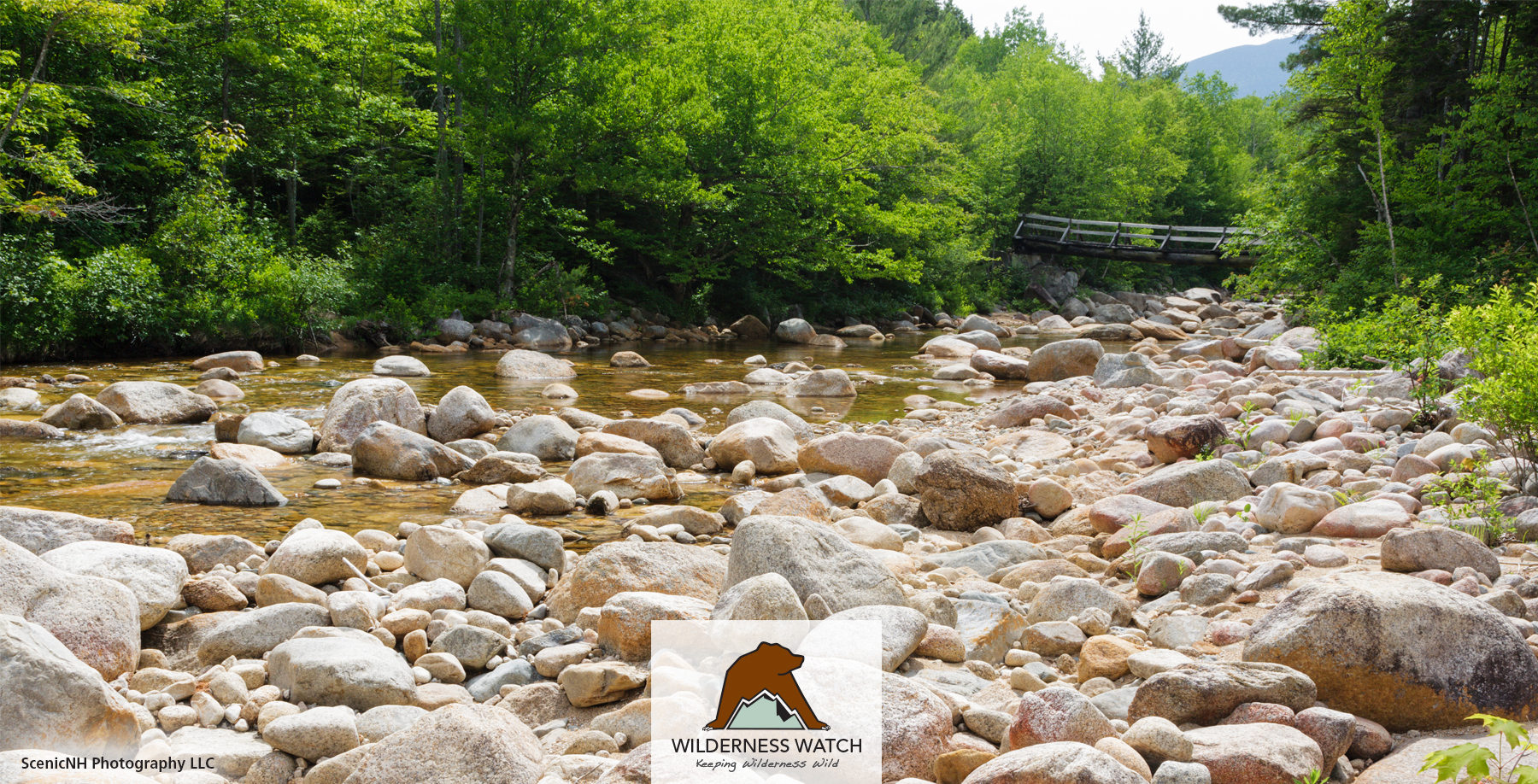 Pemigewasset Wilderness, New Hampshire