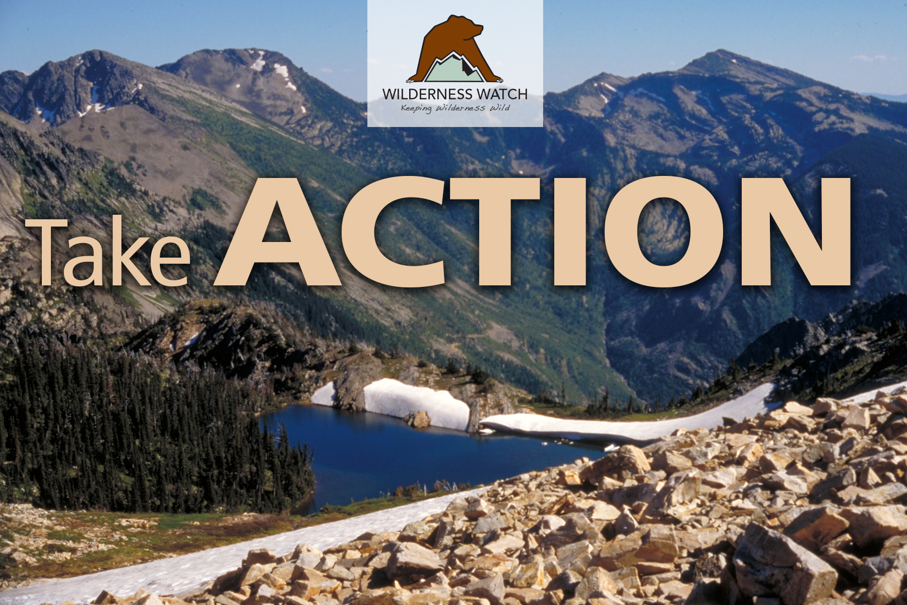 Protect The Cabinet Mountains Wilderness And Its Grizzly Bears