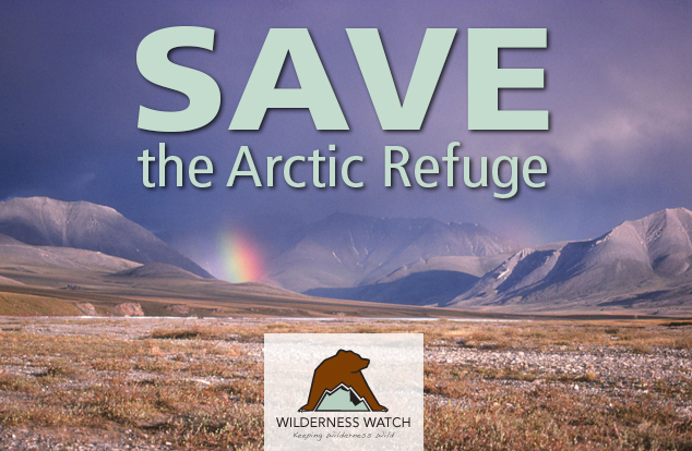Arctic National Wildlife Refuge, Alaska