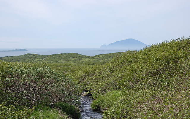 Izembek by USFWS