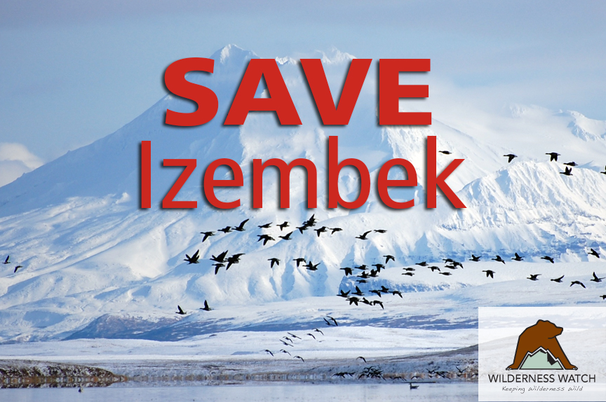 Save Izembek
