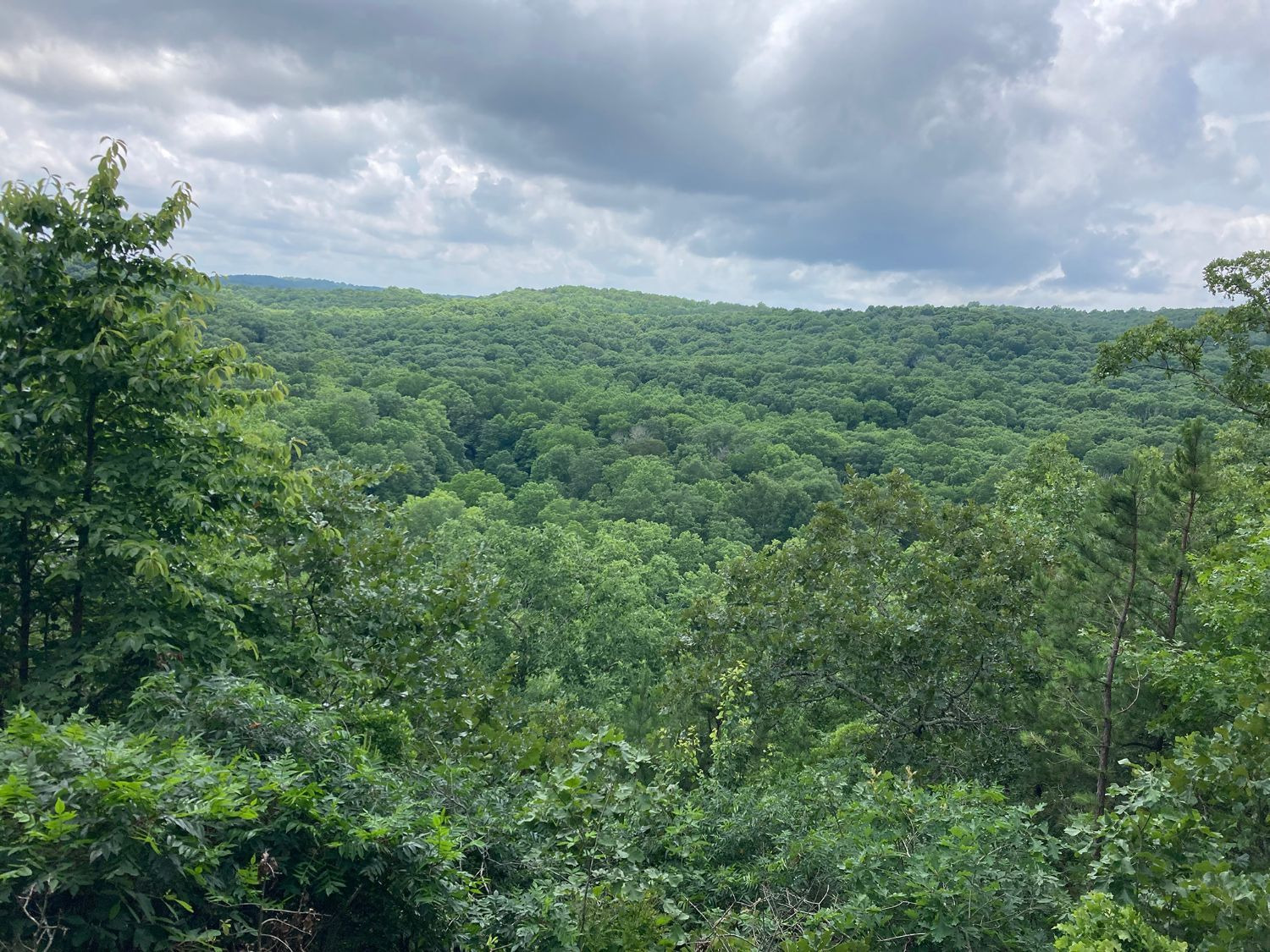 Lusk Creek Wilderness by John Wallace