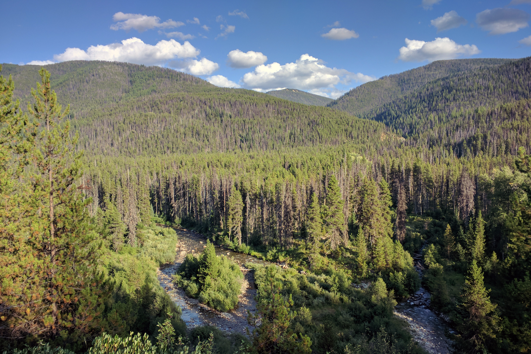 Nez Perce-Clearwater National Forest by Friends of the Clearwater