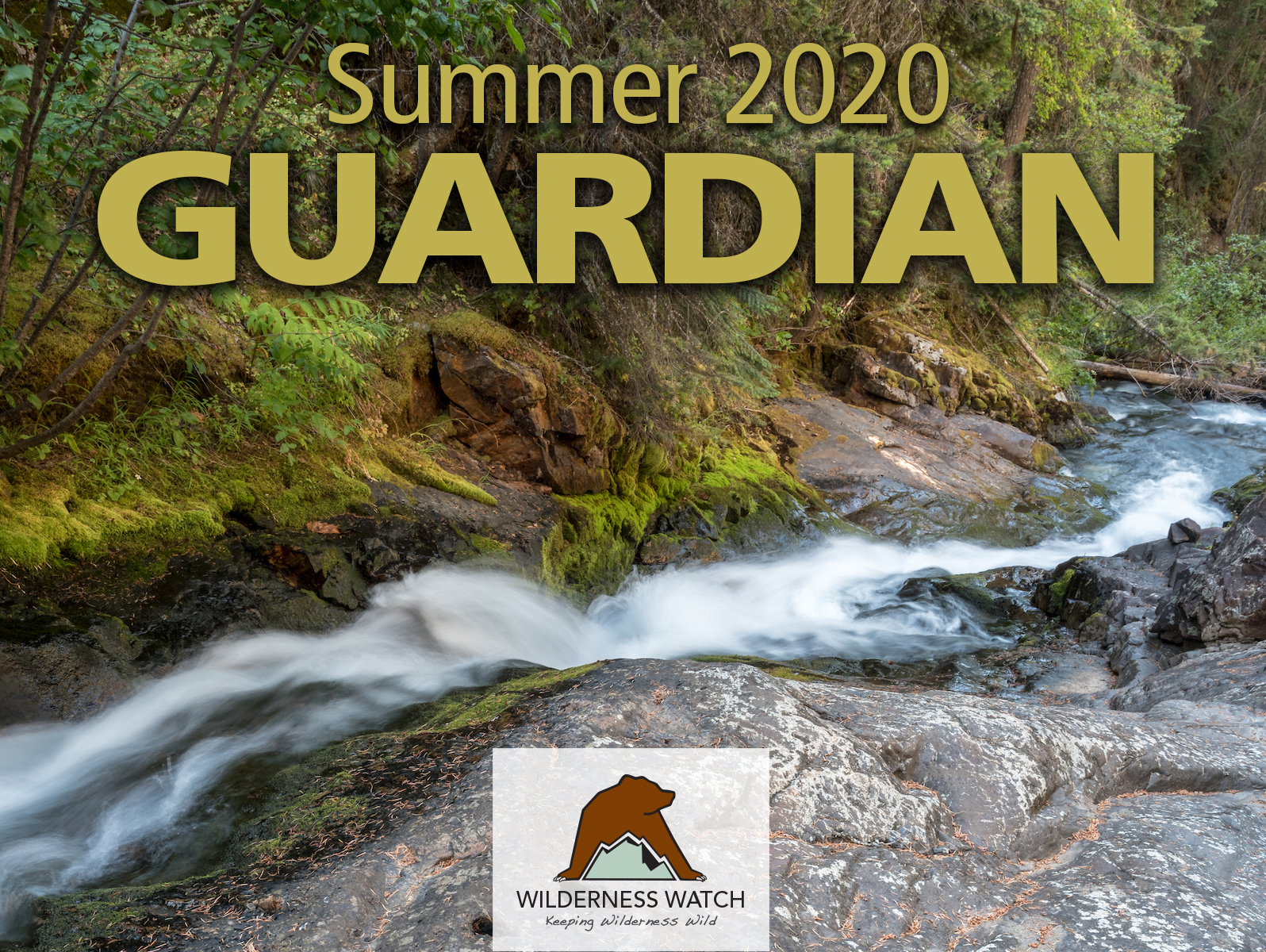 Summer 2020 Guardian