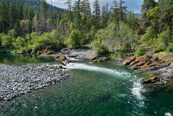 Kalmiopsis Wilderness