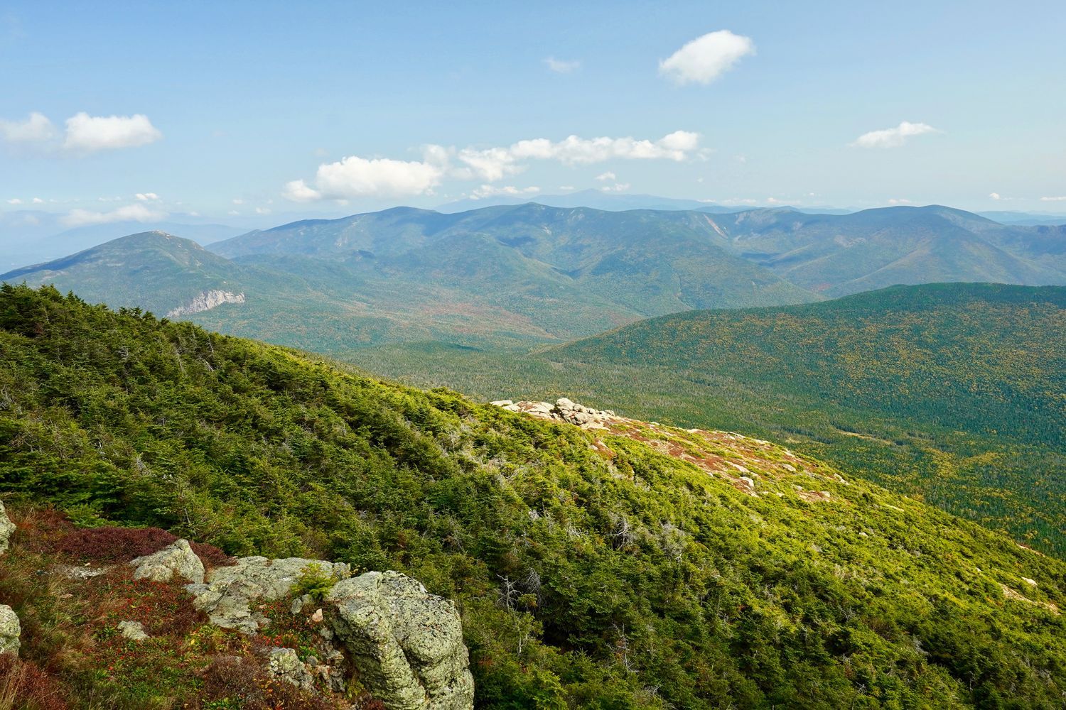 Pemigewasset Wilderness by Zack Porter, Standing Trees