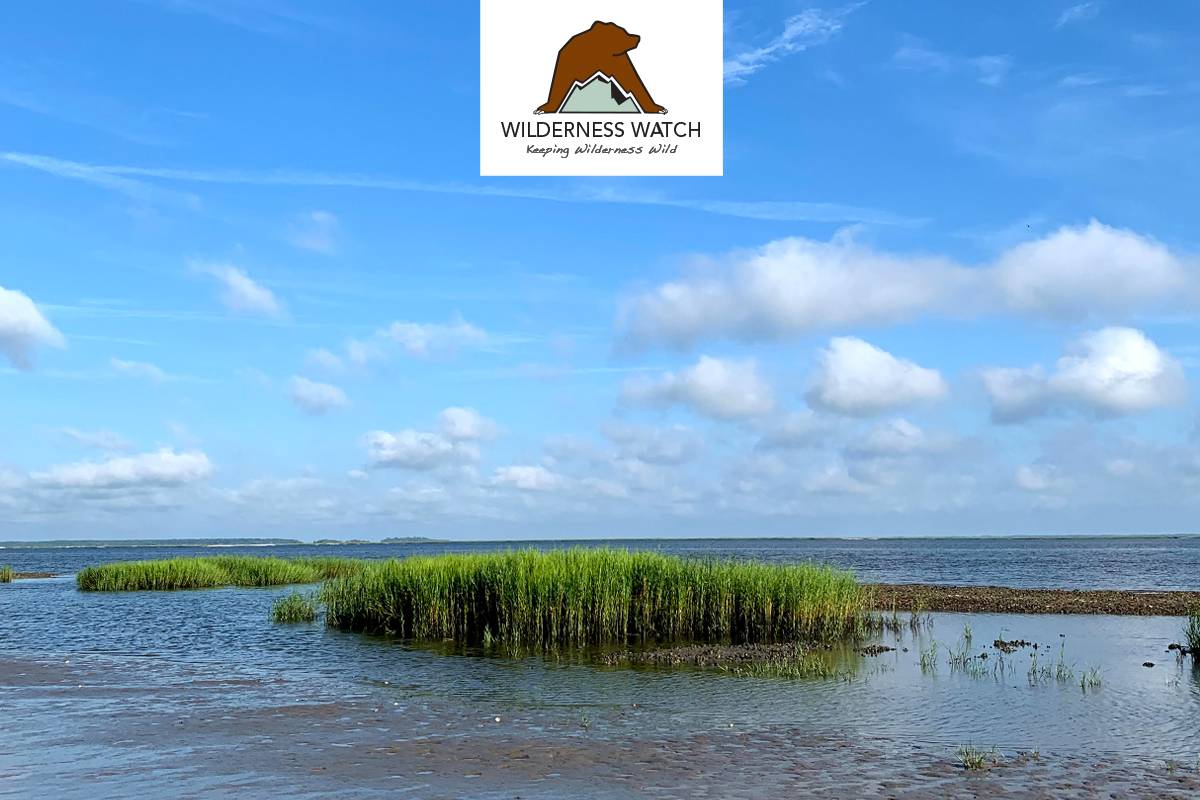 Cumberland Island Wilderness, Georgia