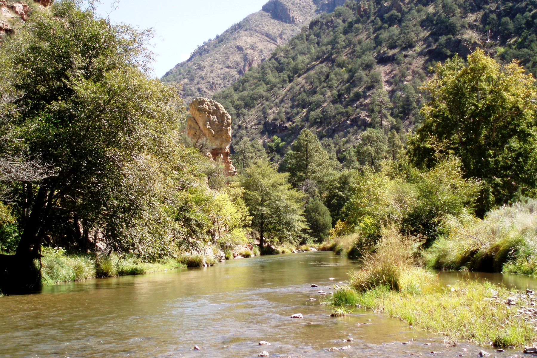 Gila Wilderness by U.S. Forest Service via Flickr