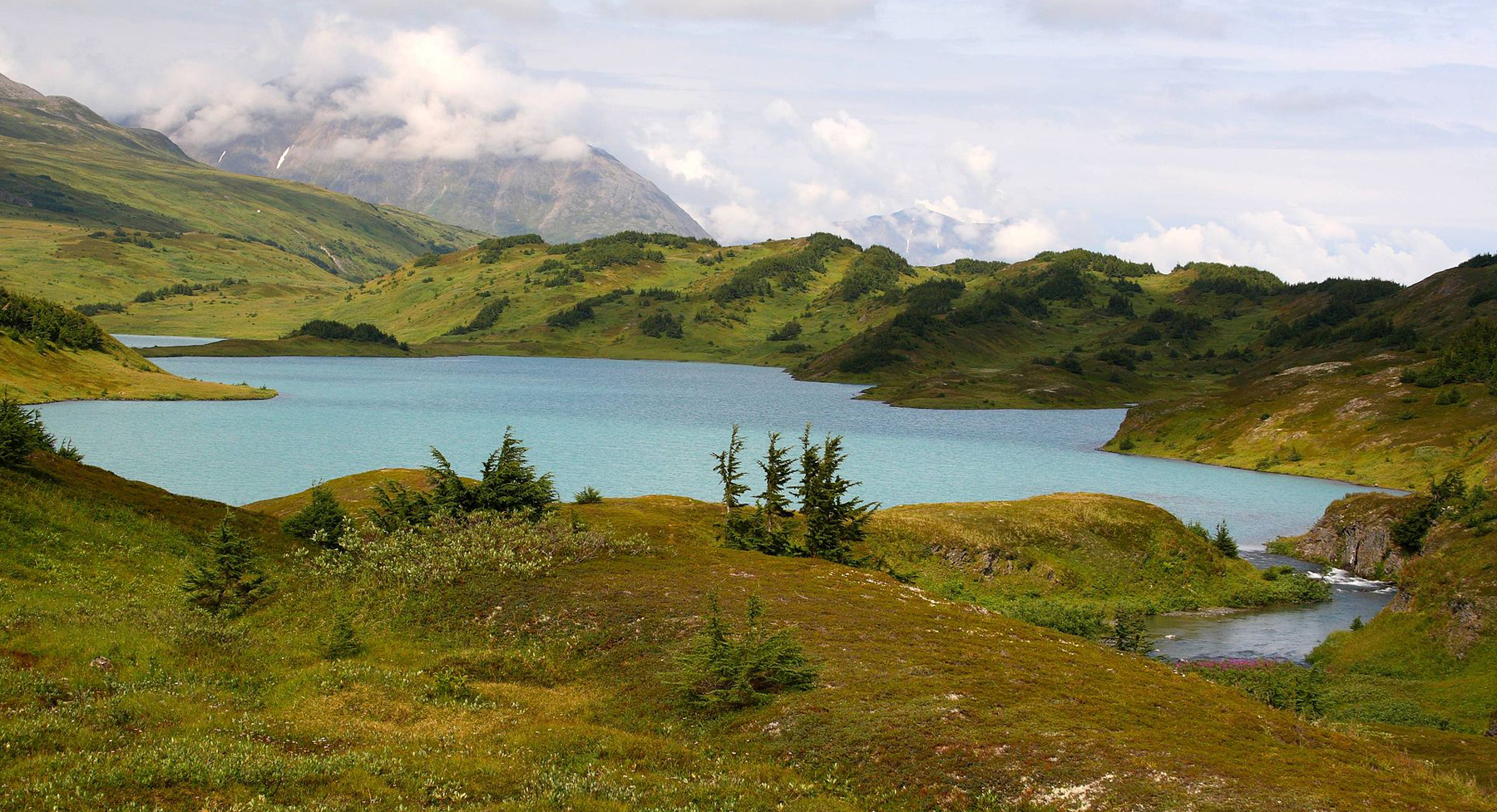 Chugach National Forest by Frank Kovalchek