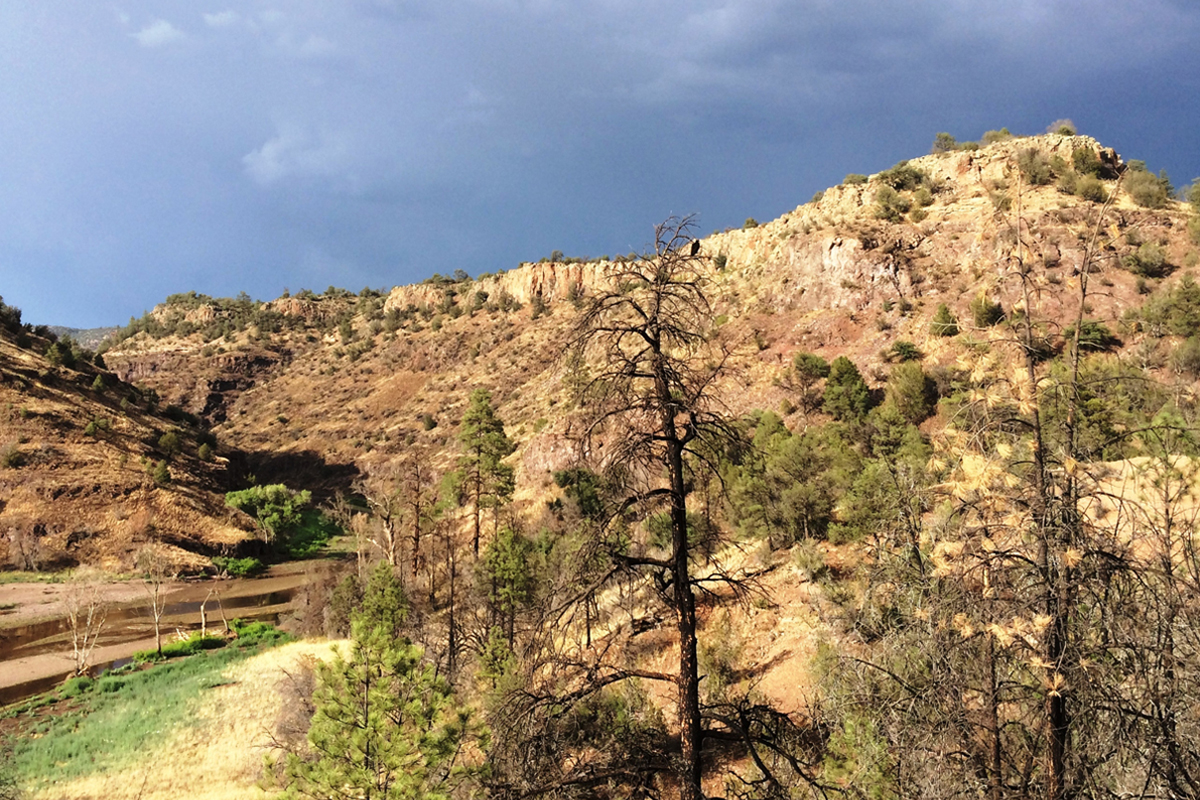Inholding in the Gila Wilderness, New Mexico